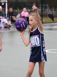 Image result for Jays Netball Club