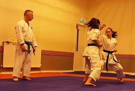 Image result for Edinburgh Karate do Shotokai