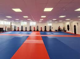 Image result for Basingstoke Aikido Club