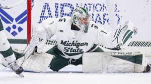 Image result for Ice Hockey International