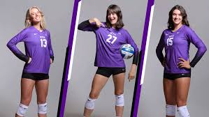 Image result for York University Volleyball Club