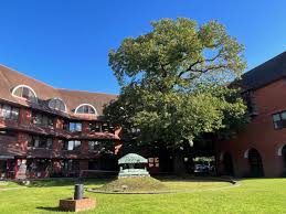 Image result for Surrey Heath Slammers