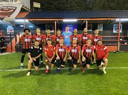 Image result for Saffron Walden Cricket Club