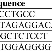Attēlu rezultāti vaicājumam “Diderma testaceum sessile”