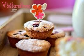 Image result for visitandines