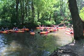 Image result for Fife Canoeing Activities Group