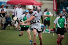 Image result for hurling