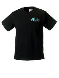 Image result for The Paddock Cricket Club