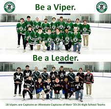 Image result for Vipers Roller Hockey Team