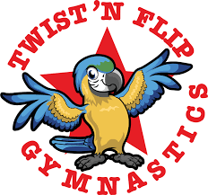 Image result for flip and twist