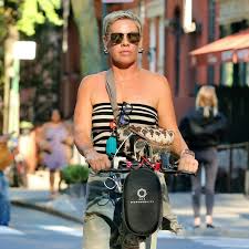 Image result for Bugaboo Cameleon Julianna Margulies