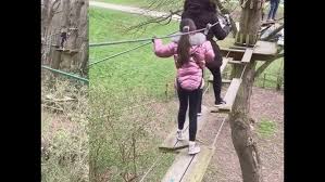 Image result for Go Ape! Leeds Castle