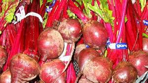 Image result for Beta vulgaris