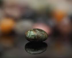 Attēlu rezultāti vaicājumam “Diderma roanense macro”