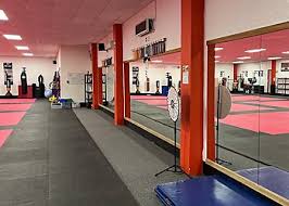 Image result for Bristol Dojo MMA
