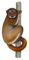 lemur ile ilgili görsel sonucu