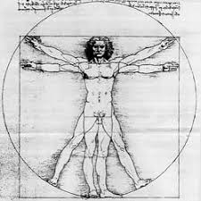 Image result for numero aureo