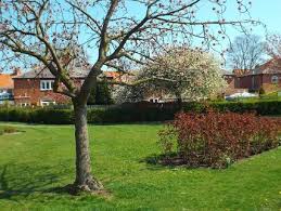 Image result for Crawford Park Bowls Club