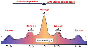 Image result for Rayleigh Sac
