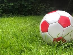 Image result for Berkshire Royals Dodgeball Club