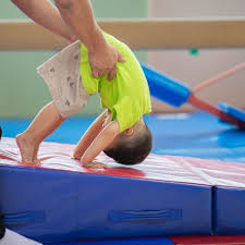 Image result for Fish trampoline and gymnastics club