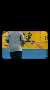 Image result for The Highly Strung Badminton Club