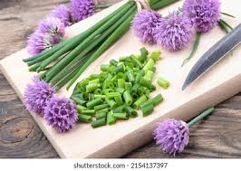 Attēlu rezultāti vaicājumam “Allium schoenoprasum fruit”