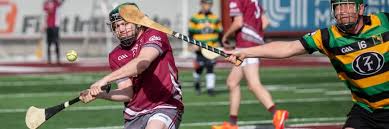 Image result for hurling