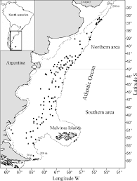 Image result for Bathyraja brachyurops