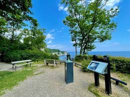 Image result for stevns klint