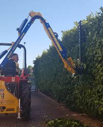 Image result for marolin tehron