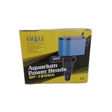 Attēlu rezultāti vaicājumam “Amara sp.”