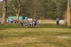 Image result for Tynedale Harriers Athletics Club