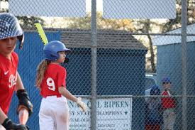 Image result for Elmbridge Girls` Little League