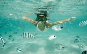 Image result for Ruislip Snorkelling Club