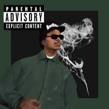 Image result for Easi-RockIts