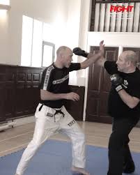 Image result for Kamon Wing Chun