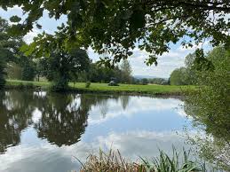 Image result for Arscott Golf Club