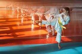 Image result for Hachidori ju-jitsu Martial Arts