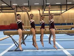 Image result for Harnham Gymnastics Club