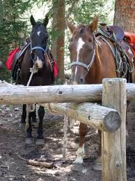 Image result for Old Park Riding Stables