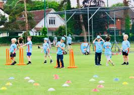 Image result for Hadleigh Cricket Club