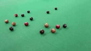 Image result for Foxhill Indoor Bowls Club