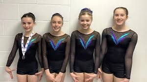 Image result for Farnham Gymnastics Club