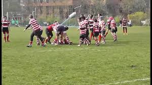 Image result for Finchley RFC
