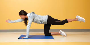 Image result for Keeping In Shape