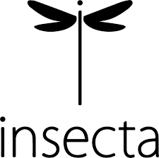 Attēlu rezultāti vaicājumam “Insecta”