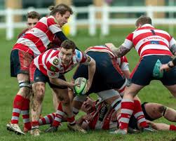 Image result for Stockton Rugby Football Club