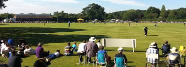 Image result for Willey Wanderers Cricket Club