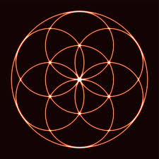 Image result for life flower